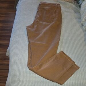 Lane Bryant Light Brown Pants